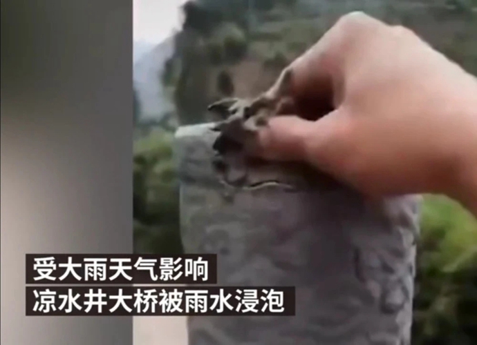 1000.webp.jpg 1000.webp.jpg